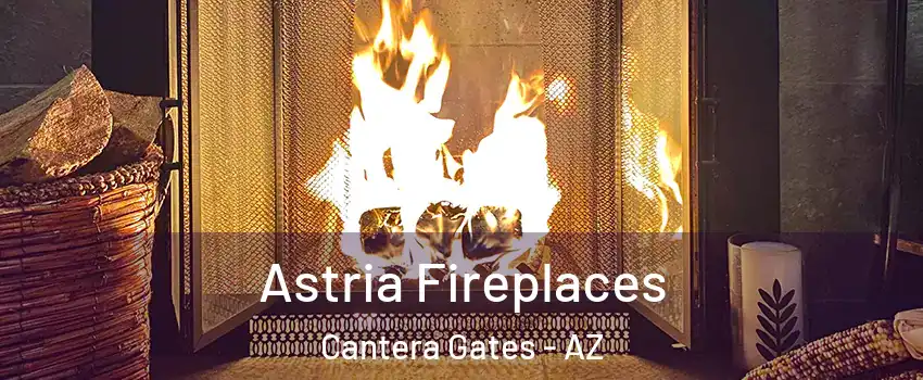 Astria Fireplaces Cantera Gates - AZ