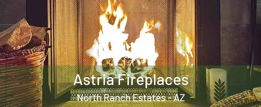 Astria Fireplaces North Ranch Estates - AZ