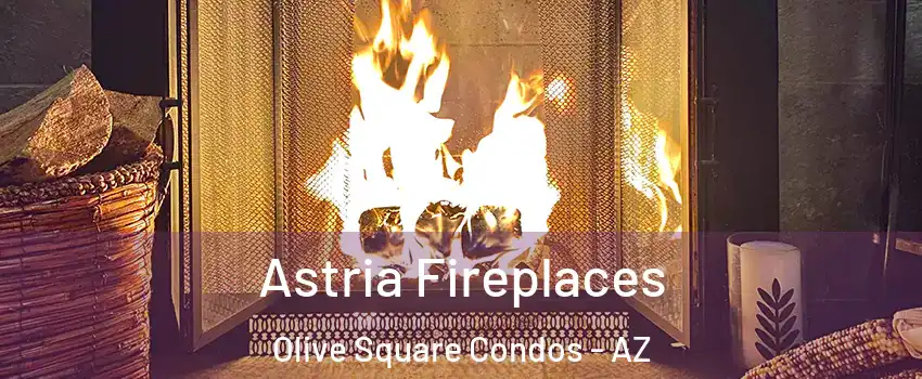 Astria Fireplaces Olive Square Condos - AZ