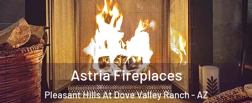 Astria Fireplaces Pleasant Hills At Dove Valley Ranch - AZ