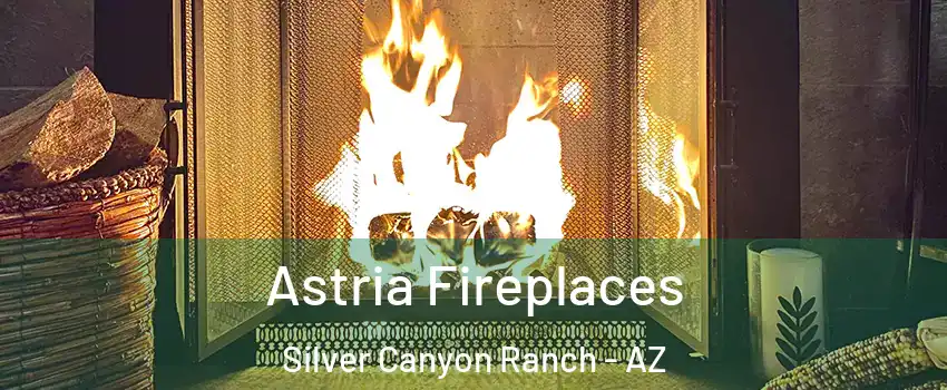 Astria Fireplaces Silver Canyon Ranch - AZ