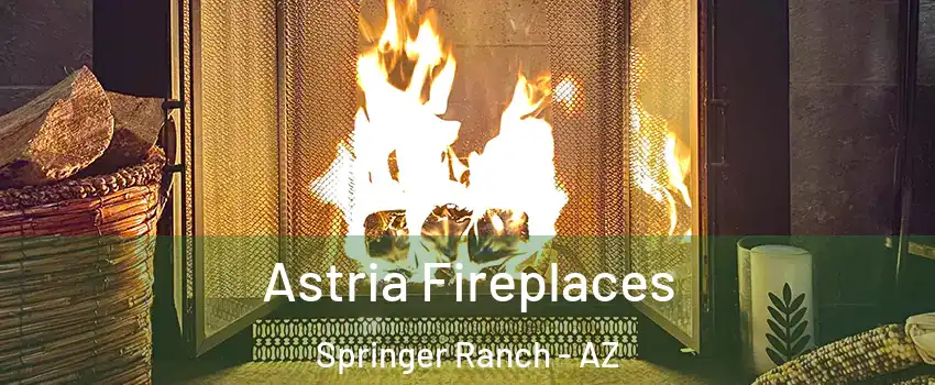 Astria Fireplaces Springer Ranch - AZ