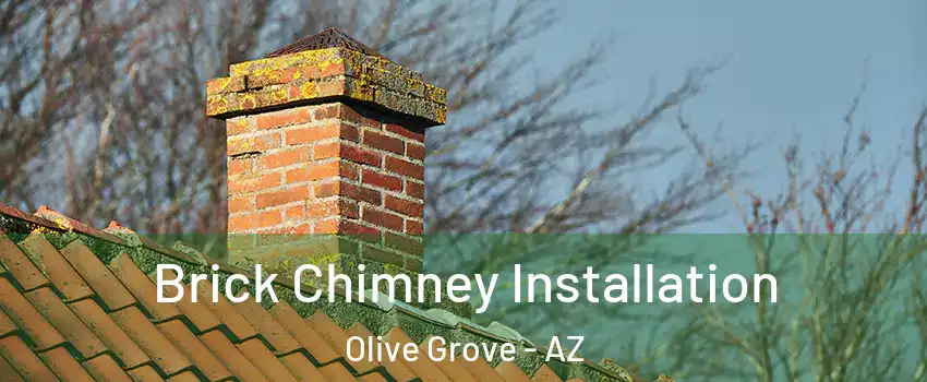 Brick Chimney Installation Olive Grove - AZ