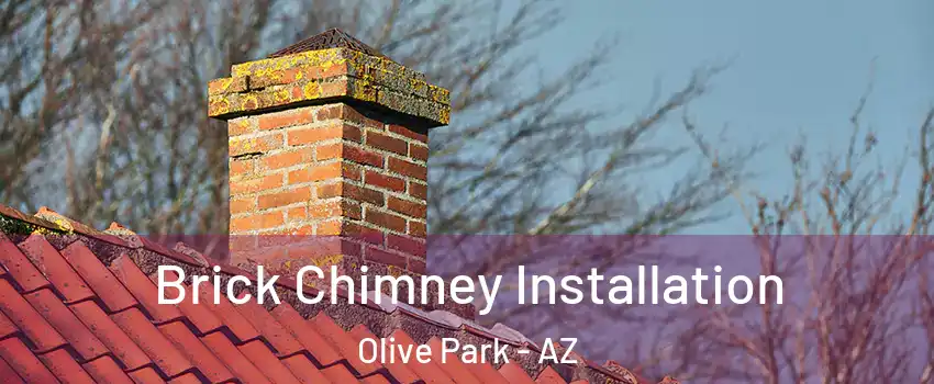 Brick Chimney Installation Olive Park - AZ