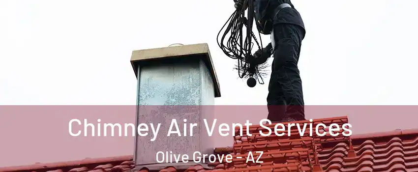 Chimney Air Vent Services Olive Grove - AZ