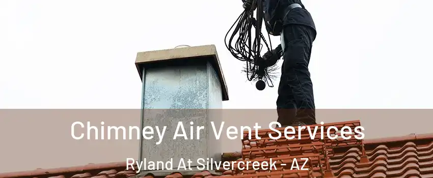 Chimney Air Vent Services Ryland At Silvercreek - AZ