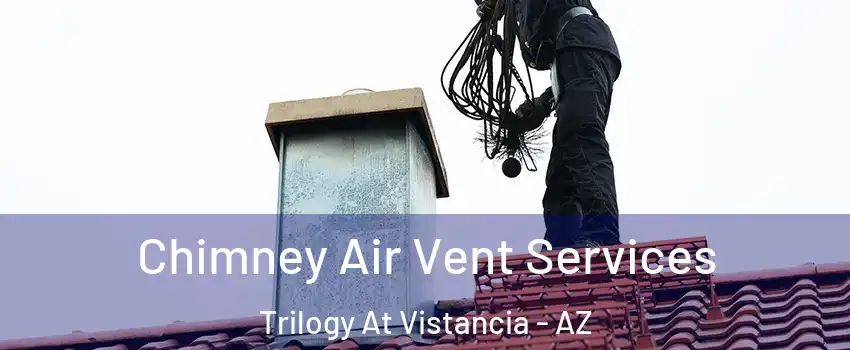 Chimney Air Vent Services Trilogy At Vistancia - AZ