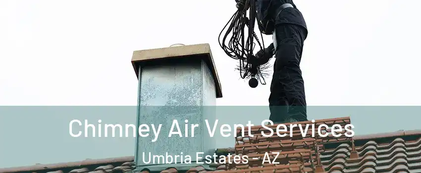 Chimney Air Vent Services Umbria Estates - AZ