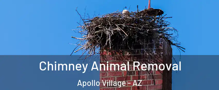 Chimney Animal Removal Apollo Village - AZ