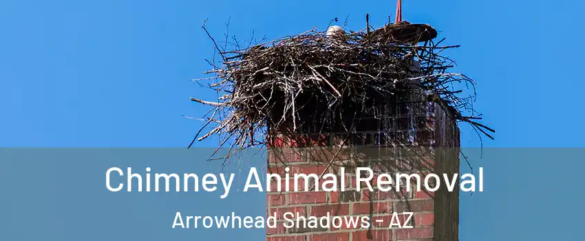 Chimney Animal Removal Arrowhead Shadows - AZ