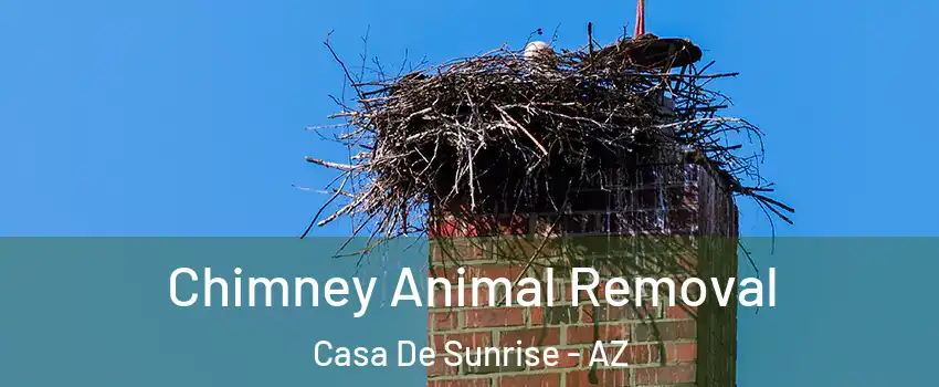 Chimney Animal Removal Casa De Sunrise - AZ