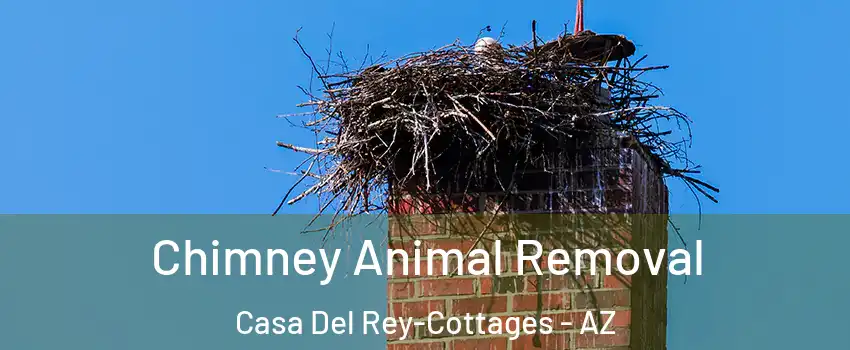 Chimney Animal Removal Casa Del Rey-Cottages - AZ