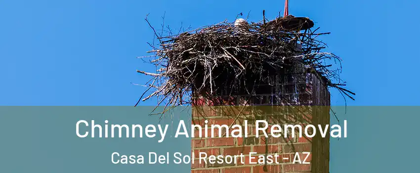 Chimney Animal Removal Casa Del Sol Resort East - AZ