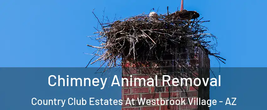 Chimney Animal Removal Country Club Estates At Westbrook Village - AZ