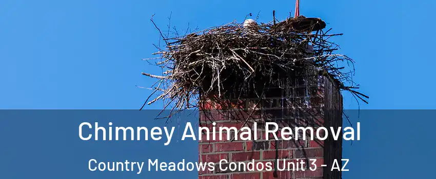 Chimney Animal Removal Country Meadows Condos Unit 3 - AZ