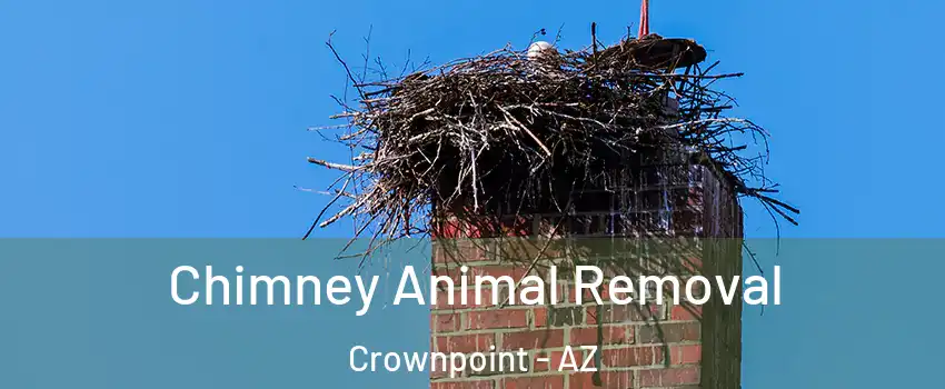 Chimney Animal Removal Crownpoint - AZ