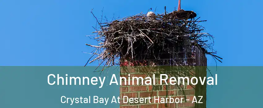 Chimney Animal Removal Crystal Bay At Desert Harbor - AZ