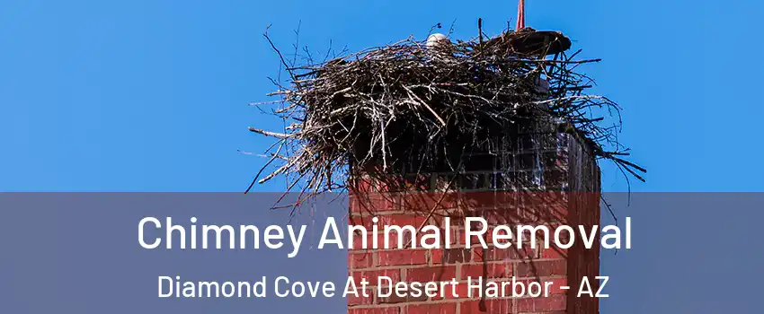 Chimney Animal Removal Diamond Cove At Desert Harbor - AZ