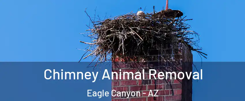 Chimney Animal Removal Eagle Canyon - AZ
