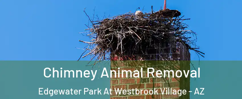 Chimney Animal Removal Edgewater Park At Westbrook Village - AZ