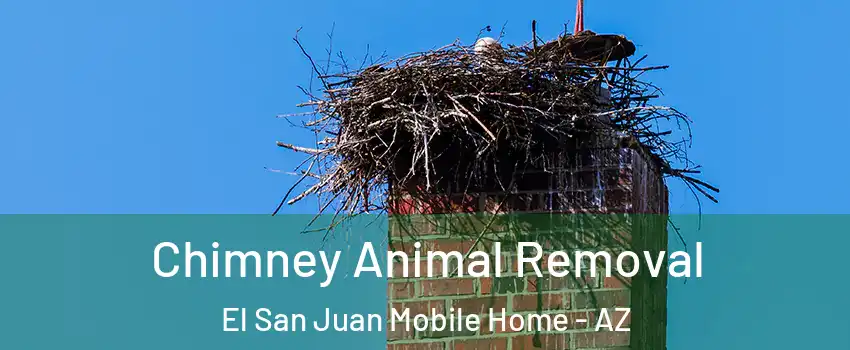 Chimney Animal Removal El San Juan Mobile Home - AZ