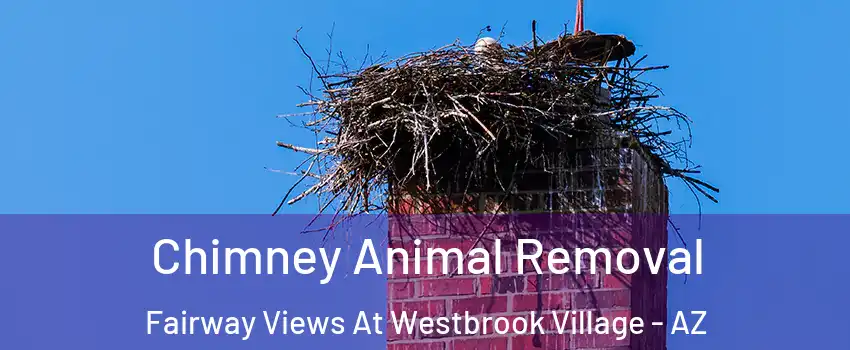 Chimney Animal Removal Fairway Views At Westbrook Village - AZ