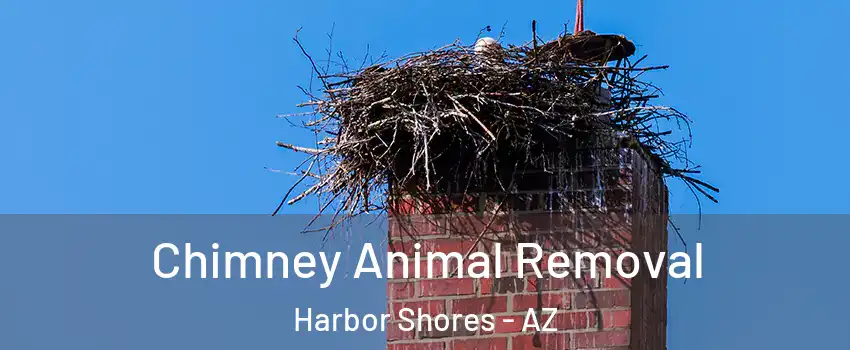 Chimney Animal Removal Harbor Shores - AZ