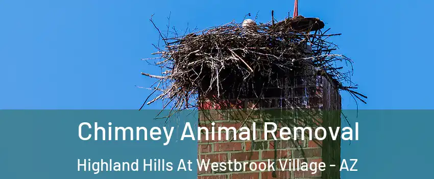 Chimney Animal Removal Highland Hills At Westbrook Village - AZ