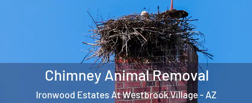 Chimney Animal Removal Ironwood Estates At Westbrook Village - AZ