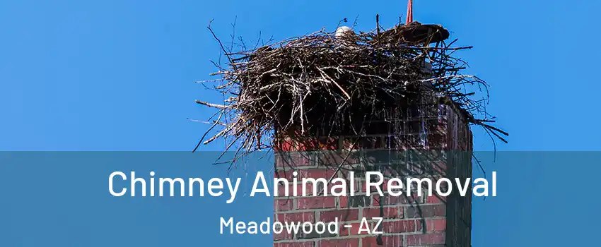 Chimney Animal Removal Meadowood - AZ