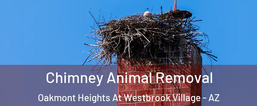 Chimney Animal Removal Oakmont Heights At Westbrook Village - AZ
