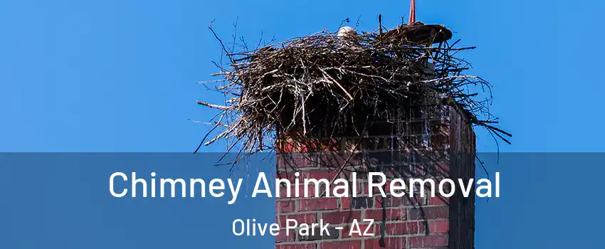 Chimney Animal Removal Olive Park - AZ