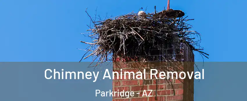Chimney Animal Removal Parkridge - AZ