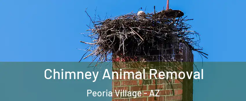 Chimney Animal Removal Peoria Village - AZ