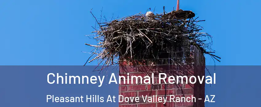 Chimney Animal Removal Pleasant Hills At Dove Valley Ranch - AZ