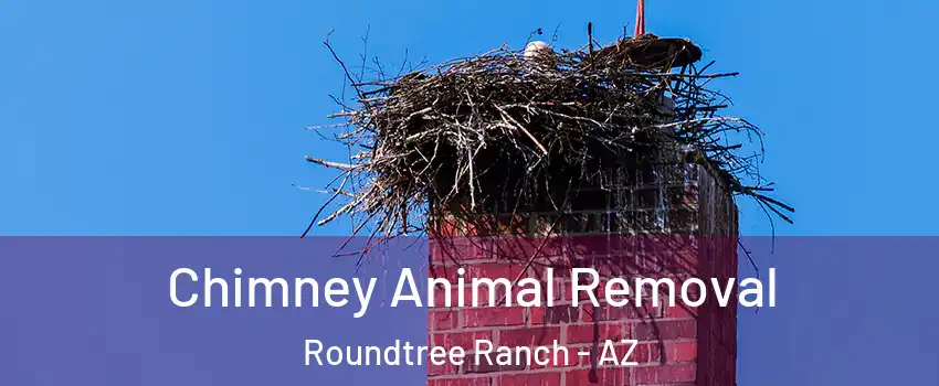 Chimney Animal Removal Roundtree Ranch - AZ