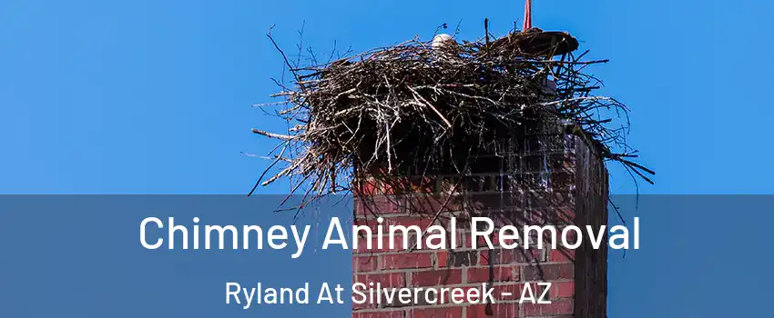 Chimney Animal Removal Ryland At Silvercreek - AZ