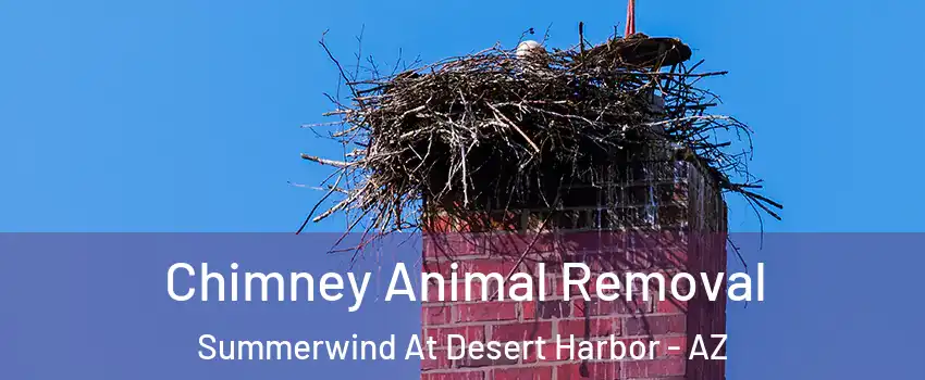 Chimney Animal Removal Summerwind At Desert Harbor - AZ