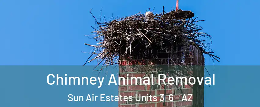 Chimney Animal Removal Sun Air Estates Units 3-6 - AZ