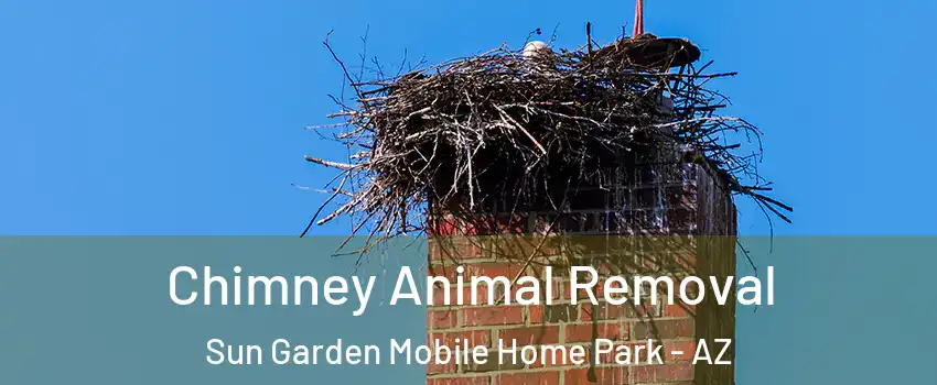 Chimney Animal Removal Sun Garden Mobile Home Park - AZ
