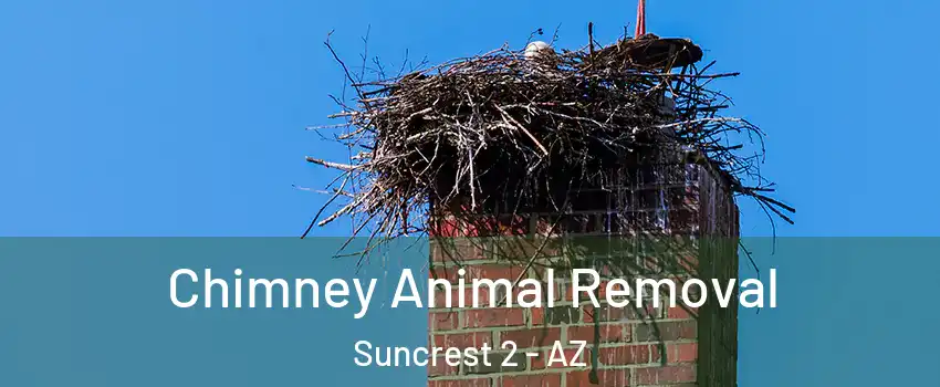 Chimney Animal Removal Suncrest 2 - AZ