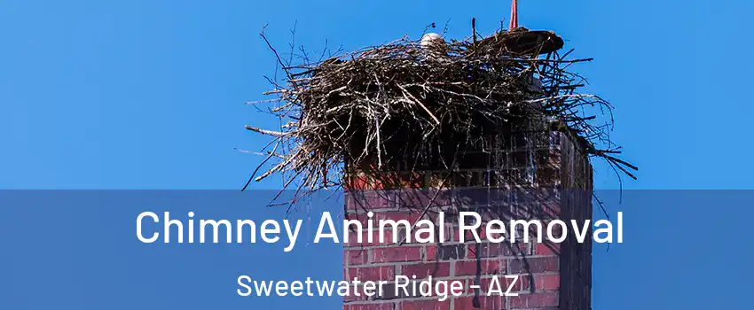 Chimney Animal Removal Sweetwater Ridge - AZ