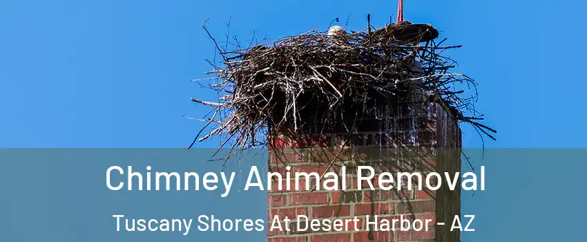 Chimney Animal Removal Tuscany Shores At Desert Harbor - AZ