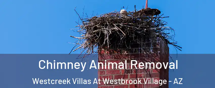 Chimney Animal Removal Westcreek Villas At Westbrook Village - AZ