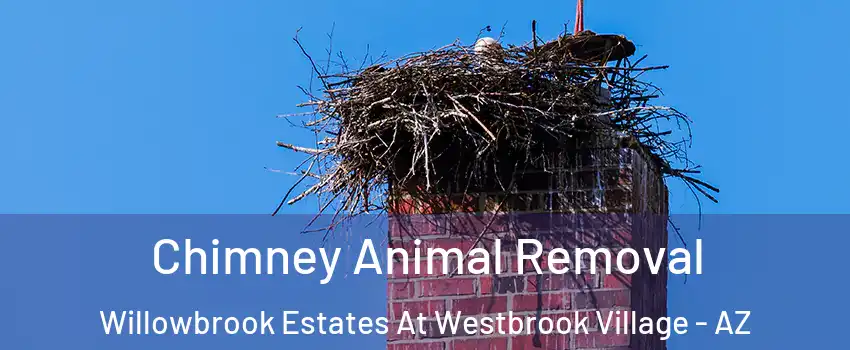 Chimney Animal Removal Willowbrook Estates At Westbrook Village - AZ