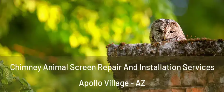 Chimney Animal Screen Repair And Installation Services Apollo Village - AZ