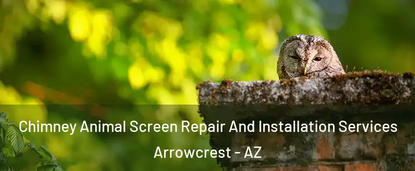 Chimney Animal Screen Repair And Installation Services Arrowcrest - AZ