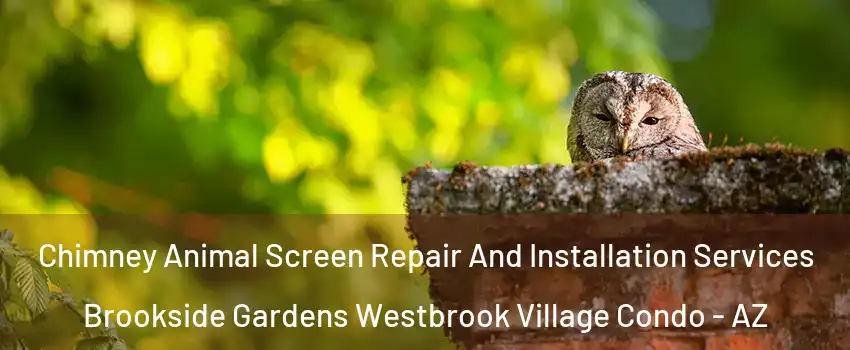 Chimney Animal Screen Repair And Installation Services Brookside Gardens Westbrook Village Condo - AZ