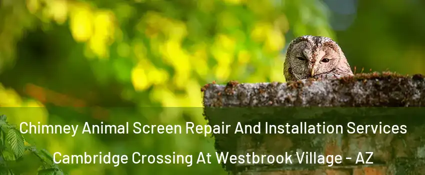 Chimney Animal Screen Repair And Installation Services Cambridge Crossing At Westbrook Village - AZ