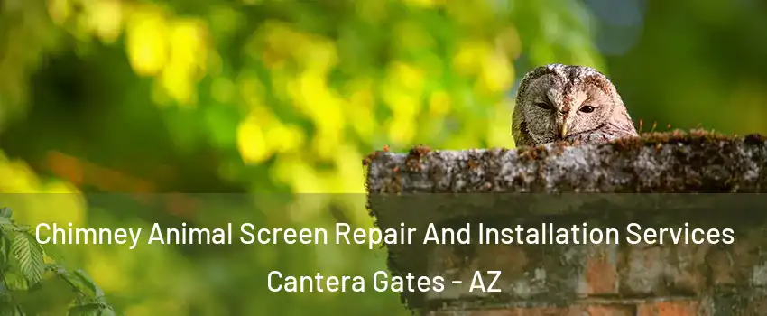 Chimney Animal Screen Repair And Installation Services Cantera Gates - AZ